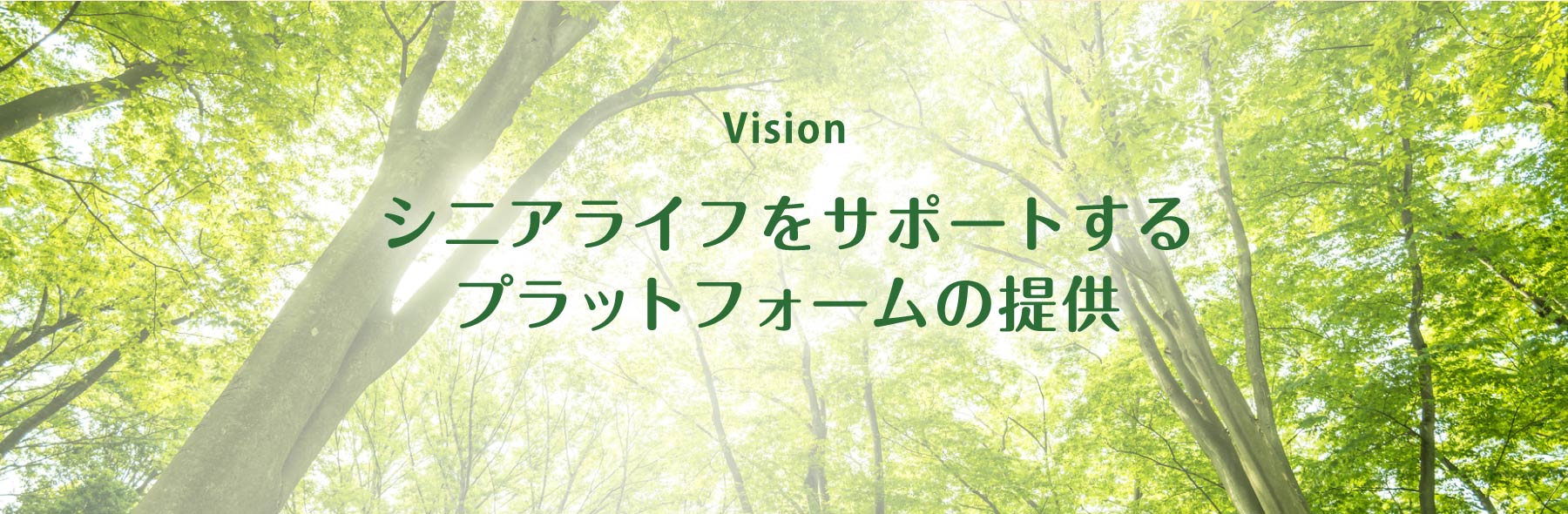 【CFQ様】Nikon NIKON 1 J5 SILVER【専用】